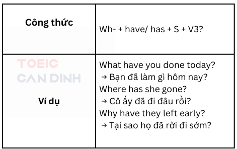 Thì hiện tại hoàn thành